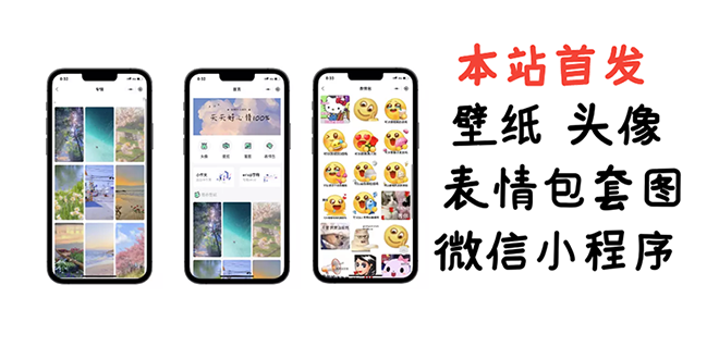 小白0基础搭建微信壁纸头像表情包小程序：一单赚几百【含源码+视频教程】-缘梦网创