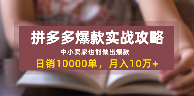 拼多多爆款实战攻略：中小卖家也能做出爆款，日销10000单 月入10w+-缘梦网创