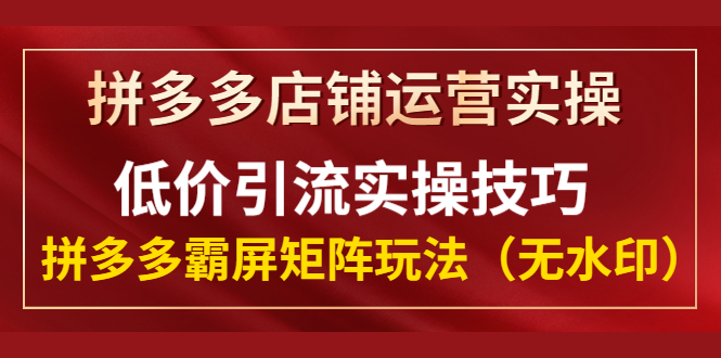 拼多多店铺运营实操，低价引流实操技巧，拼多多霸屏矩阵玩法-缘梦网创