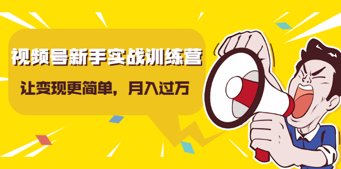 视频号新手实战训练营，让变现更简单，玩赚视频号，轻松月入过万-缘梦网创