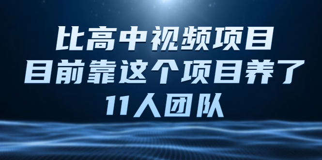 中视频项目，目前靠这个项目养了11人团队【视频课程】-缘梦网创