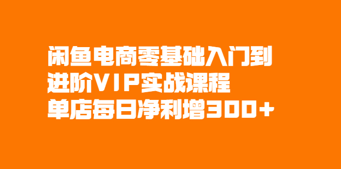 闲鱼电商零基础入门到进阶VIP实战课程，单店每日净利增300+-缘梦网创