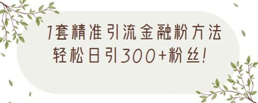 1套精准引流金融粉方法，轻松日引300+粉丝【视频课程】-缘梦网创