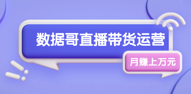 数据哥直播带货运营线上进阶课，让普通人也能靠直播月赚上万元-缘梦网创