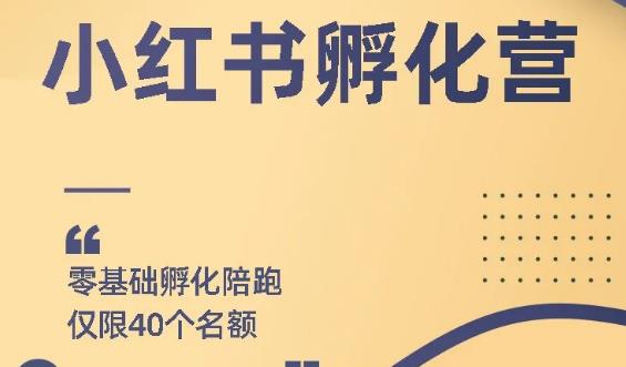 勇哥小红书撸金快速起量项目：教你如何快速起号获得曝光，做到月躺赚3000+-缘梦网创