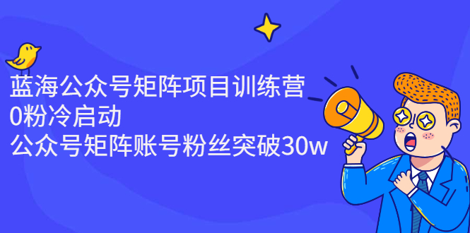 蓝海公众号矩阵项目训练营，0粉冷启动，公众号矩阵账号粉丝突破30w-缘梦网创