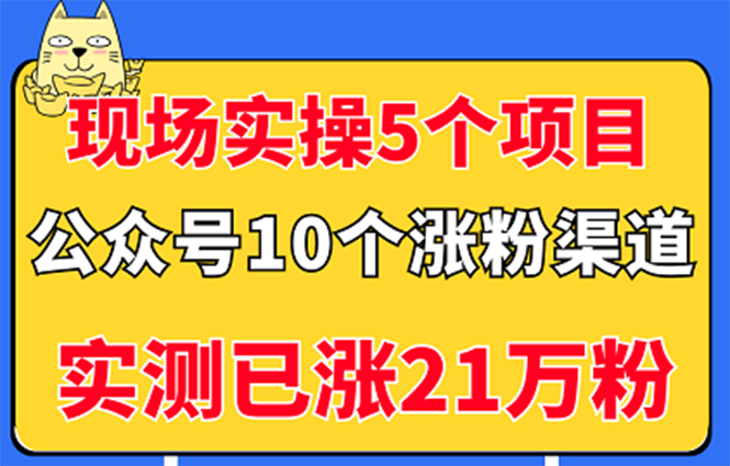 现场实操5个公众号项目，10个涨粉渠道，实测已涨21万粉！-缘梦网创