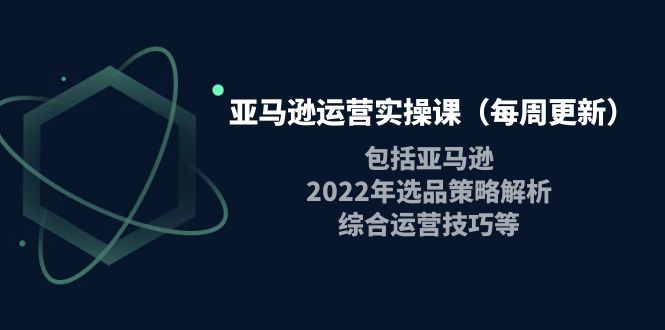 亚马逊运营实操课（每周更新）包括亚马逊2022选品策略解析，综合运营技巧等-缘梦网创