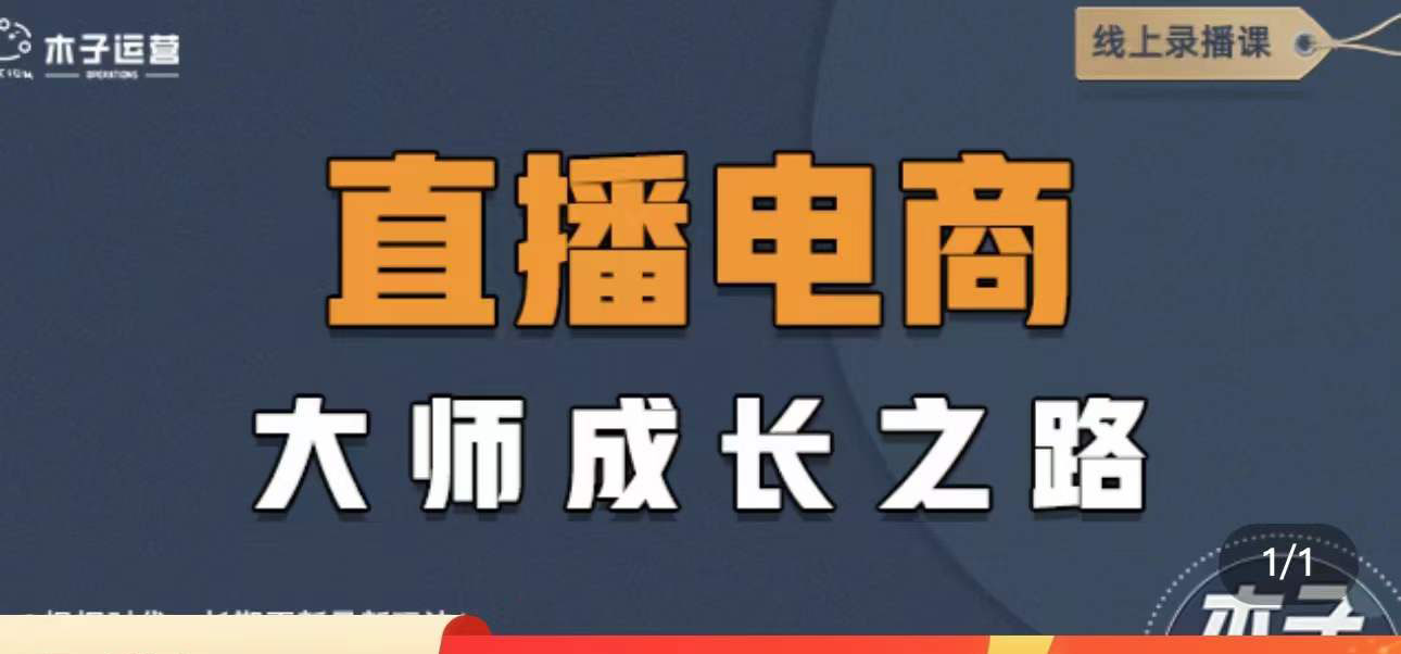 直播电商高手成长之路：教你成为直播电商大师，玩转四大板块（25节）-缘梦网创