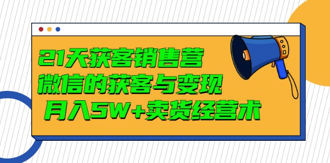 21天获客销售营，带你微信的获客与变现 月入5W+卖货经营术-缘梦网创