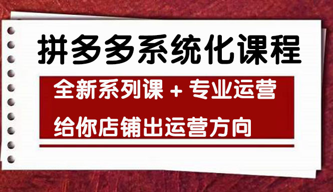 车神陪跑，拼多多系统化课程，全新系列课+专业运营给你店铺出运营方向-缘梦网创