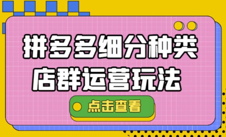 拼多多细分种类店群运营玩法3.0，11月最新玩法，小白也可以操作-缘梦网创