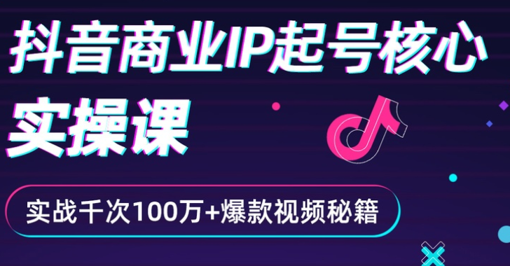 抖音爆款商业IP起号核心实操课：带你玩转算法，流量，内容，架构，变现-缘梦网创