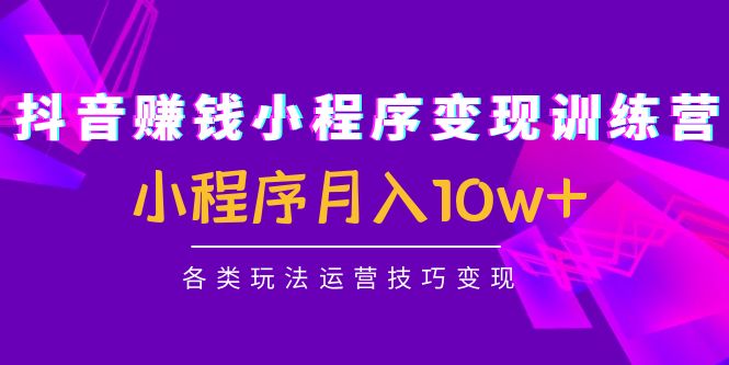 抖音赚钱小程序变现训练营：小程序月入10w+各类玩法运营技巧变现-缘梦网创