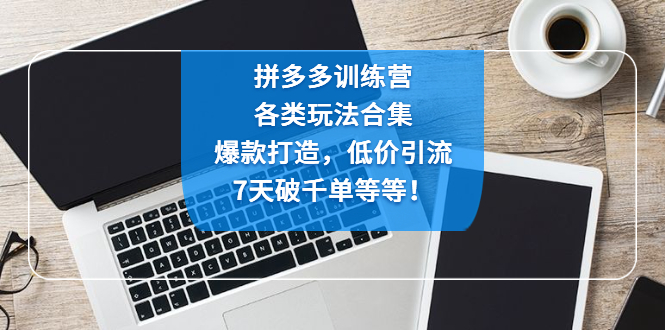 拼多多训练营：各玩法合集，爆款打造，低价引流，7天破千单等等！-缘梦网创