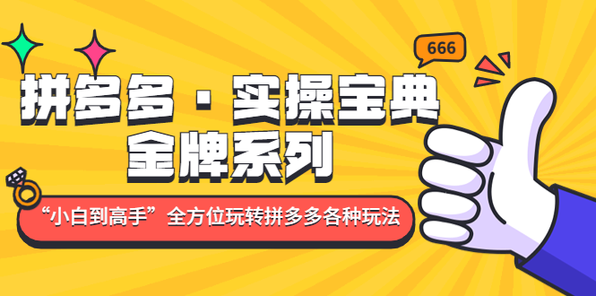 拼多多·实操宝典：金牌系列“小白到高手”带你全方位玩转拼多多各种玩法-缘梦网创