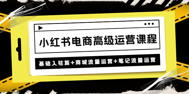 小红书电商高级运营课程：基础入驻篇+商城流量运营+笔记流量运营-缘梦网创