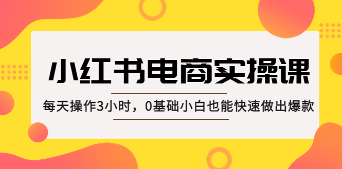 小红书·电商实操课：每天操作3小时，0基础小白也能快速做出爆款！-缘梦网创