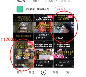 图片[2]-短视频纪实新闻搬运，起号快轻松引爆流量，可接广告变现（教程+素材）-缘梦网创