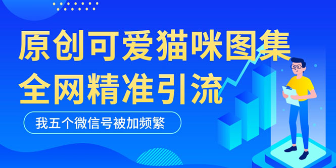 黑科技纯原创可爱猫咪图片，全网精准引流，实操5个VX号被加频繁-缘梦网创