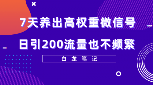 7天养出高权重微信号，日引200流量也不频繁，方法价值3680元-缘梦网创