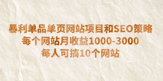 暴利单品单页网站项目和SEO策略 每个网站月收益1000-3000 每人可搞10个-缘梦网创