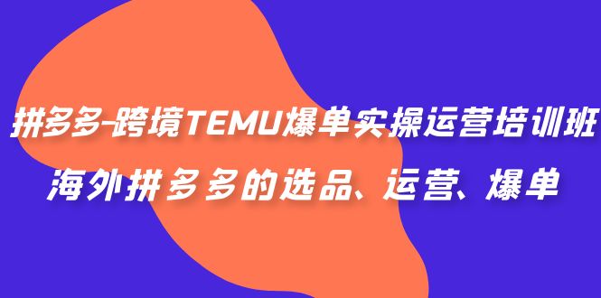 拼多多-跨境TEMU爆单实操运营培训班，海外拼多多的选品、运营、爆单-缘梦网创