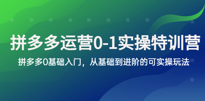 拼多多-运营0-1实操训练营，拼多多0基础入门，从基础到进阶的可实操玩法-缘梦网创