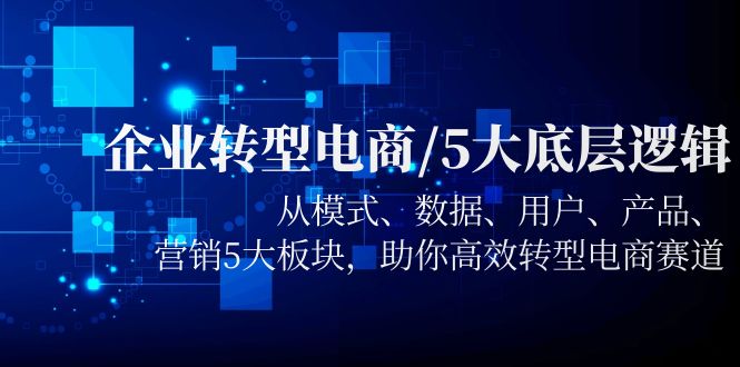 企业转型电商/5大底层逻辑，从模式 数据 用户 产品 营销5大板块，高效转型-缘梦网创