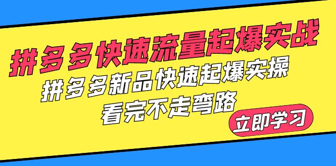 拼多多-快速流量起爆实战，拼多多新品快速起爆实操，看完不走弯路-缘梦网创