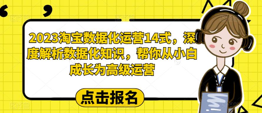 2023淘宝数据化-运营 14式，深度解析数据化知识，帮你从小白成长为高级运营-缘梦网创