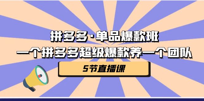 拼多多·单品爆款班，一个拼多多超级爆款养一个团队（5节直播课）-缘梦网创