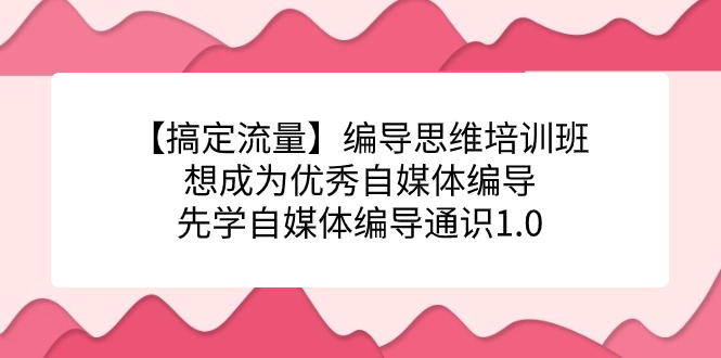 【搞定流量】编导思维培训班，想成为优秀自媒体编导先学自媒体编导通识1.0-缘梦网创