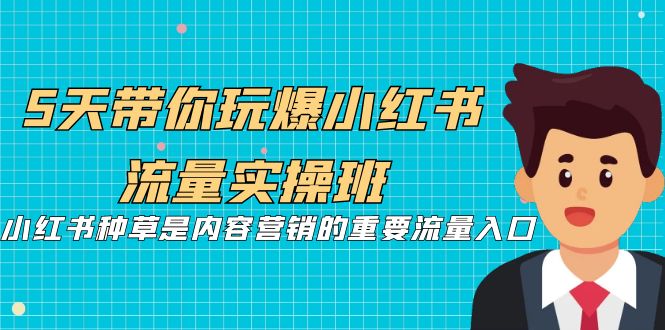 5天带你玩爆小红书流量实操班，小红书种草是内容营销的重要流量入口-缘梦网创