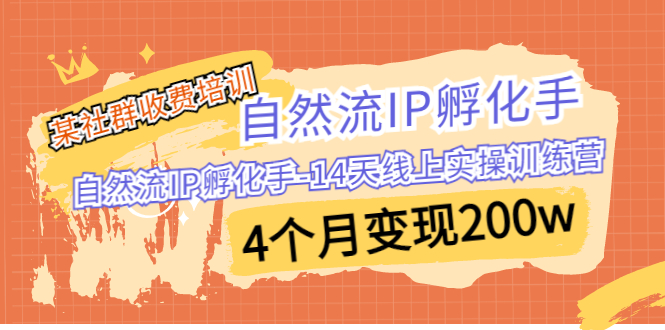 某社群收费培训：自然流IP 孵化手-14天线上实操训练营 4个月变现200w-缘梦网创