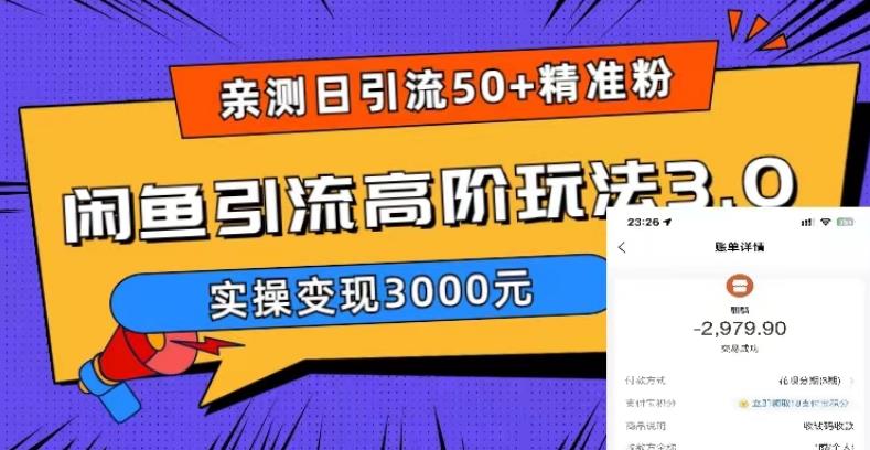 实测日引50+精准粉，闲鱼引流高阶玩法3.0，实操变现3000元-缘梦网创