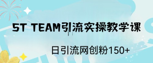 ST TEAM引流实操课，日引流网创粉100+-缘梦网创