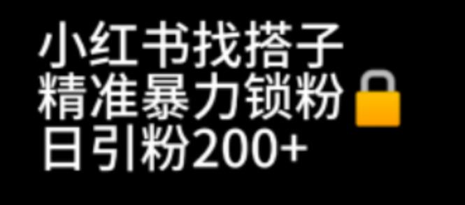 小红书找搭子暴力精准锁粉+引流日引200+精准粉-缘梦网创