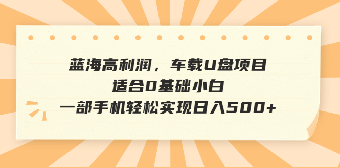 蓝海高利润，车载U盘项目，适合0基础小白，一部手机轻松实现日入500+-缘梦网创