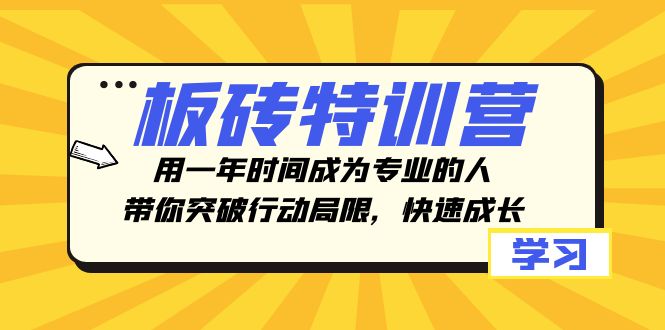 板砖特训营，用一年时间成为专业的人，带你突破行动局限，快速成长-缘梦网创