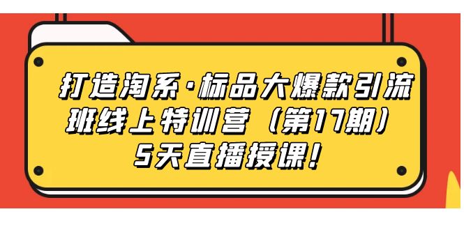 打造淘系·标品大爆款引流班线上特训营（第17期）5天直播授课！-缘梦网创