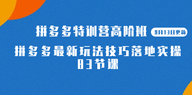 拼多多·特训营高阶班【9月13日更新】拼多多最新玩法技巧落地实操-83节-缘梦网创