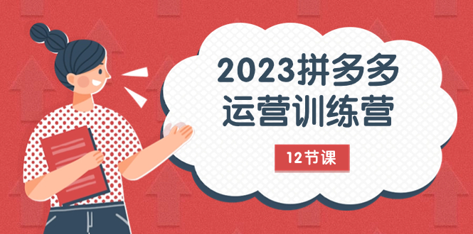 2023拼多多运营训练营：流量底层逻辑，免费+付费流量玩法（12节课）-缘梦网创