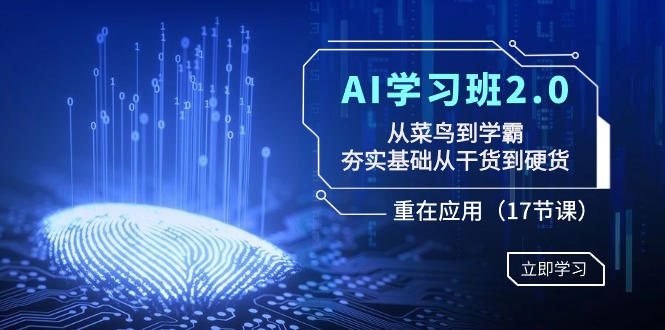 AI学习班2.0：从菜鸟到学霸，夯实基础从干货到硬货，重在应用（17节课）-缘梦网创