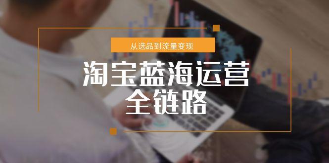 淘宝蓝海运营全链路，从选品到流量变现，小类目突围完整方案-缘梦网创