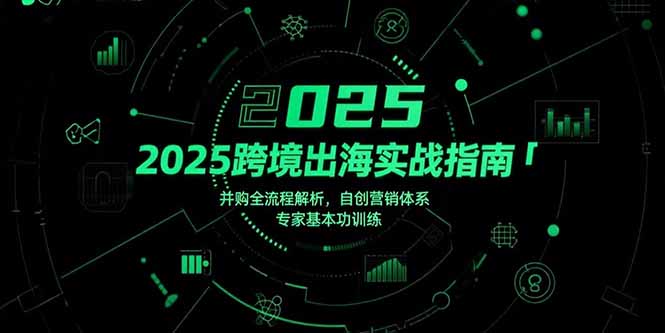 2025跨境出海实战指南，并购全流程解析，自创营销体系，专家基本功训练-缘梦网创