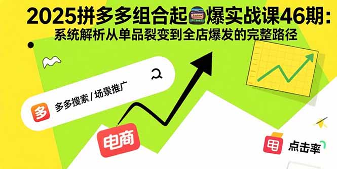 2025拼多多组合起爆实战课46期：系统解析从单品裂变到全店爆发的完整路径-缘梦网创