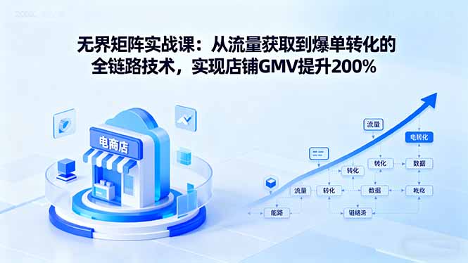 无界矩阵实战课：从流量获取到爆单转化的全链路技术，实现店铺GMV提升200%-缘梦网创