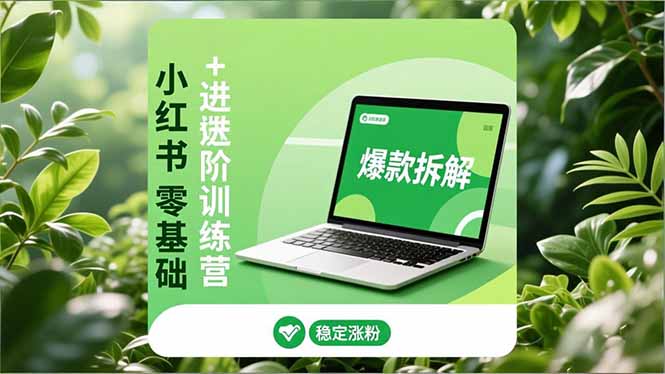 小红书零基础+高阶训练营：安全养号、爆款拆解、长效运营，实现稳定涨粉与变现-缘梦网创