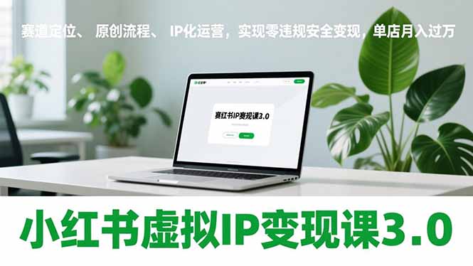 小红书虚拟IP变现课3.0，赛道定位、原创流程、IP化运营，实现零违规安全变现，单店月入过万-缘梦网创